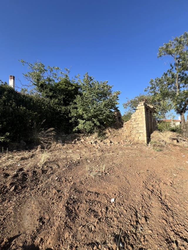 (For Sale) Land Plot || East Attica/Kapandriti - 750 Sq.m, 95.000€ 